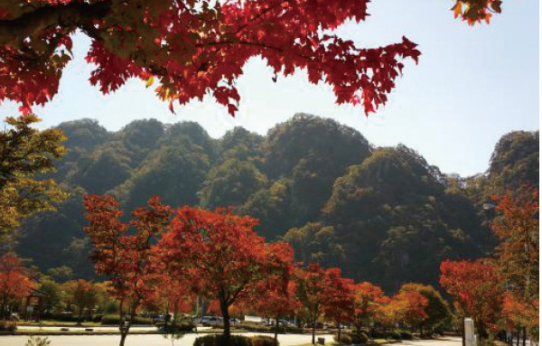국립경주박물관